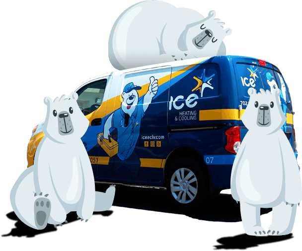 bears with ICE van